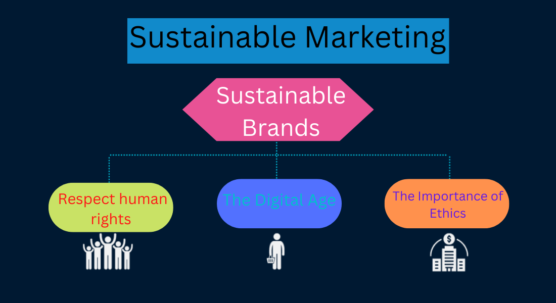 What is sustainable marketing and how does the private sector work?